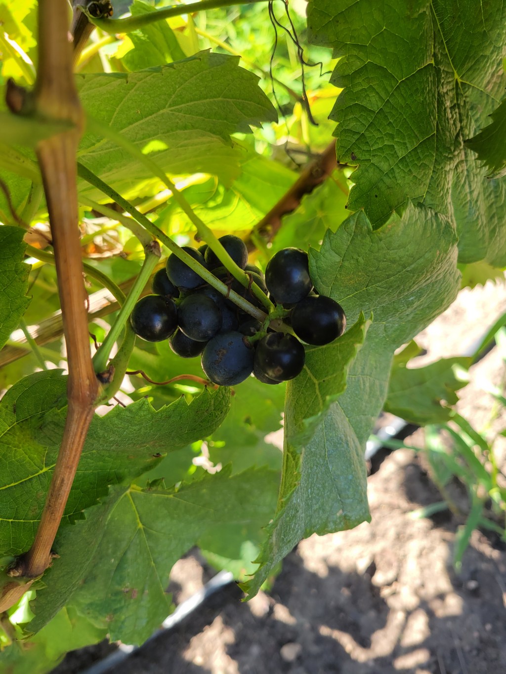 Day 3, Friday, March 7,&nbsp;2025