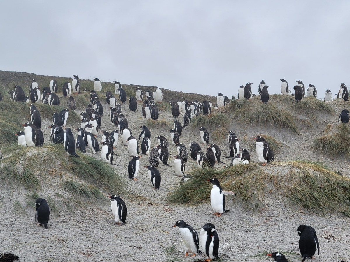 Day 6, Monday, March 10,&nbsp;2025