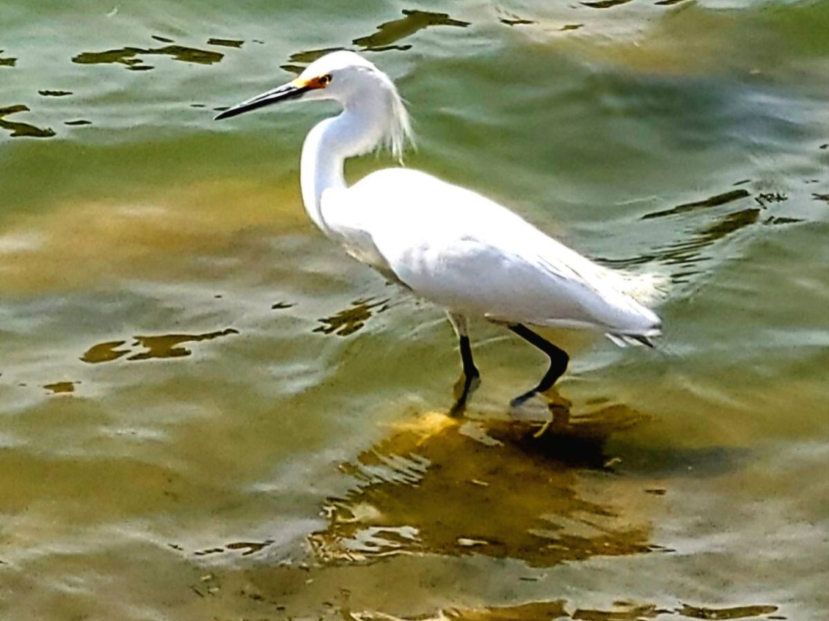 Day 21, Tuesday, March 25,&nbsp;2025